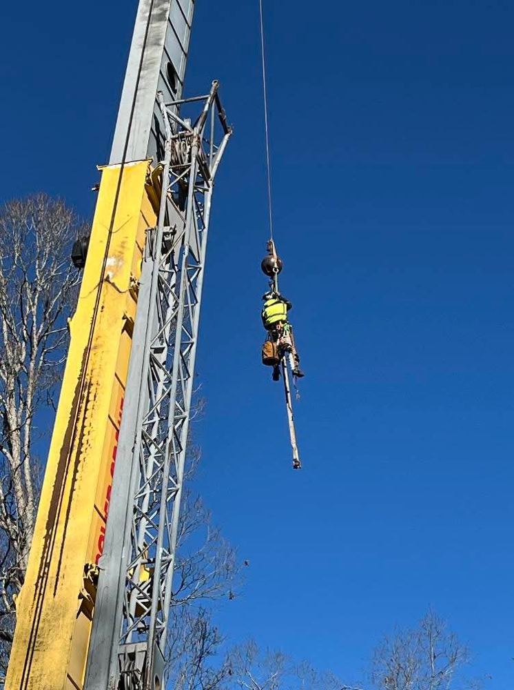 Climber hanging from a crane during a large tree removal